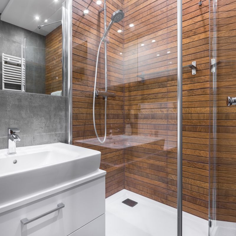 Modern Shower with Niche